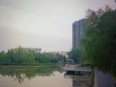 -渭滨公园