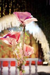 宴会厅-北京柏悦酒店宴会厅