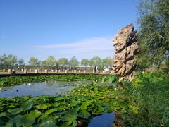 -绿堤公园