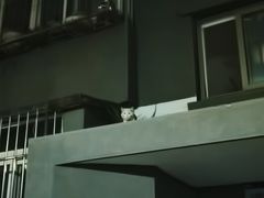 -北京颐和宾馆