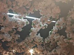 -山西派(桥东街店)
