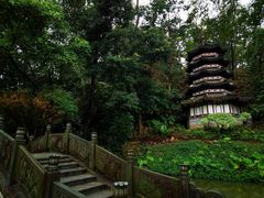 -深圳国际园林花卉博览园