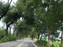 -祝甸砖窑文化馆