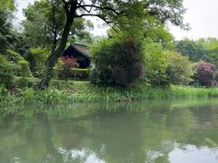 -西溪国家湿地公园