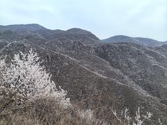 -妙峰山风景名胜区