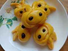 -爱月宝月嫂·育儿嫂