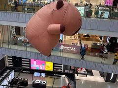 -凯德MALL(西直门店)
