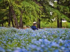 -上海滨江森林公园