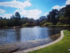 -墨尔本皇家植物园