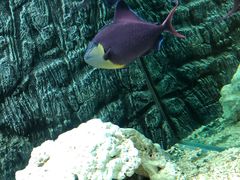 -北戴河圣蓝海洋公园