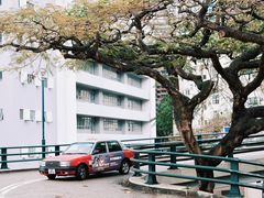 -香港大学