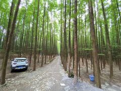 -山王坪喀斯特国家生态公园
