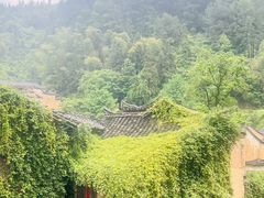 -杨家堂村
