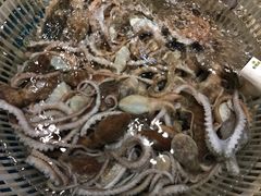 -旺角小渔村(幸福中路店)