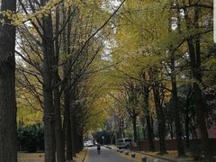 -西南交通大学(九里校区)