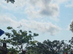 -后海村