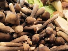 -牛YO寿喜烧和牛火锅自助(三台子万象汇店)