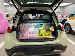 -上海浦东smart汽车全功能店(金桥店)