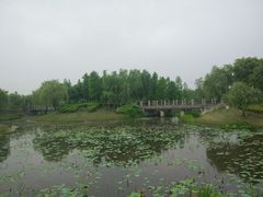-尚贤河湿地