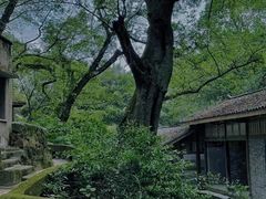 -春涛餐馆(下坝店)