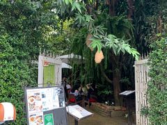 -Fern Forest Cafe