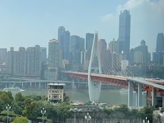 -万州大虾(五桥店)