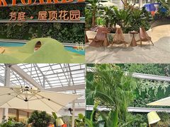 -国芳中心