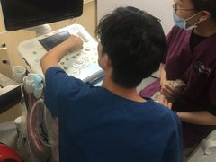 -爱诺耐芙动物医院(万博店)