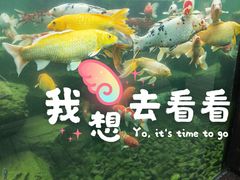 -宁波杭州湾国家湿地公园