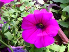 android_upload_pic-祥源·阜阳生态乐园