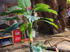 -城墙拐拐火锅(三峡广场黑金冠店)