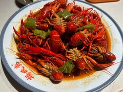 -杨氏青龙虾·羊蝎子(托乐嘉店)