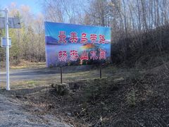 -汤旺河林海奇石景区