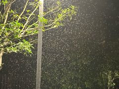 -梁子岛生态旅游区