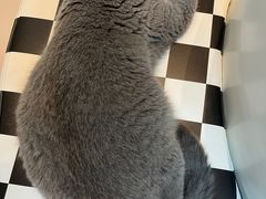 -茂业百货(东门店)