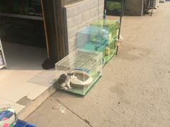 -秦美花卉(天朗·莱茵小城2期店)