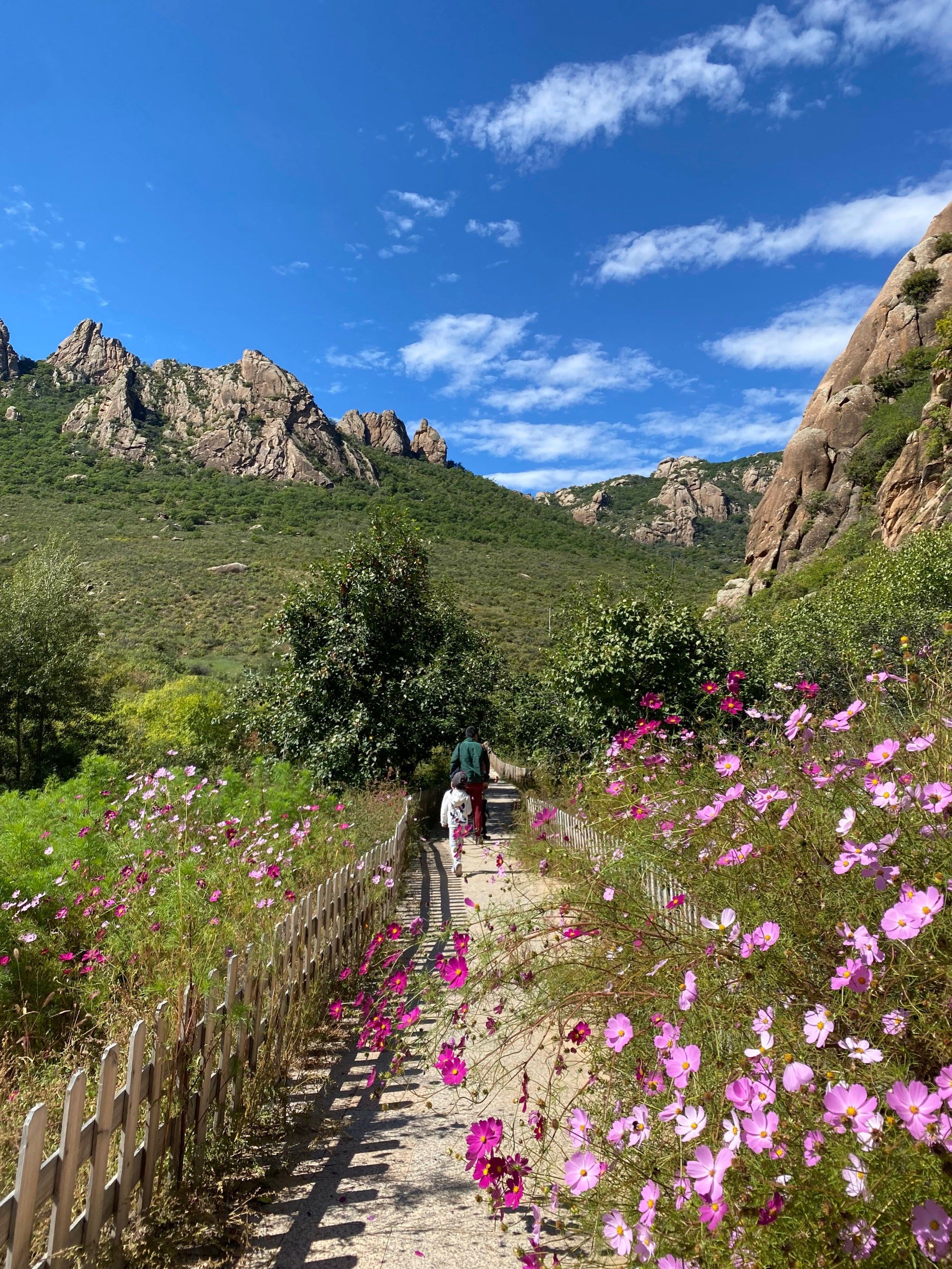 山峦美不胜收⛰️亲子徒步大青山