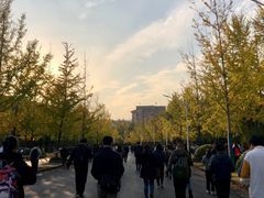 -浙江农林大学(东湖校区)