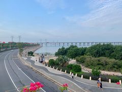 -宝安西湾红树林湿地公园