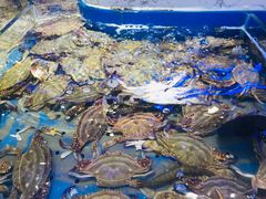 -澜悦港海鲜体验主题餐厅