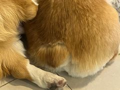 -平行世界·猫咖(首经贸店)