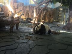 -泉州海丝野生动物世界