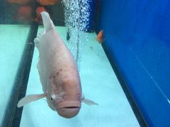-宁海食府(大剧院店)