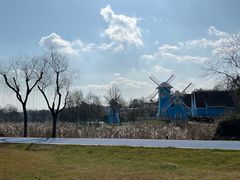 -宜兴龙背山森林公园