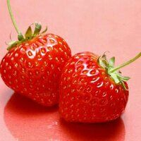 -百果园(芳华路店)