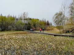 -溱湖国家湿地公园