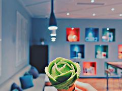 -潮一不贰·法式甜品·生日蛋糕·西式简餐(外滩店)