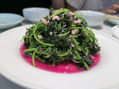 -蜀阳餐厅·金牌水煮鱼