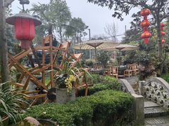 -青城甲(青城山店)