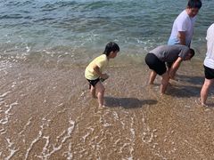 -广东惠东海龟国家级自然保护区